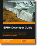 Mastering jBPM6